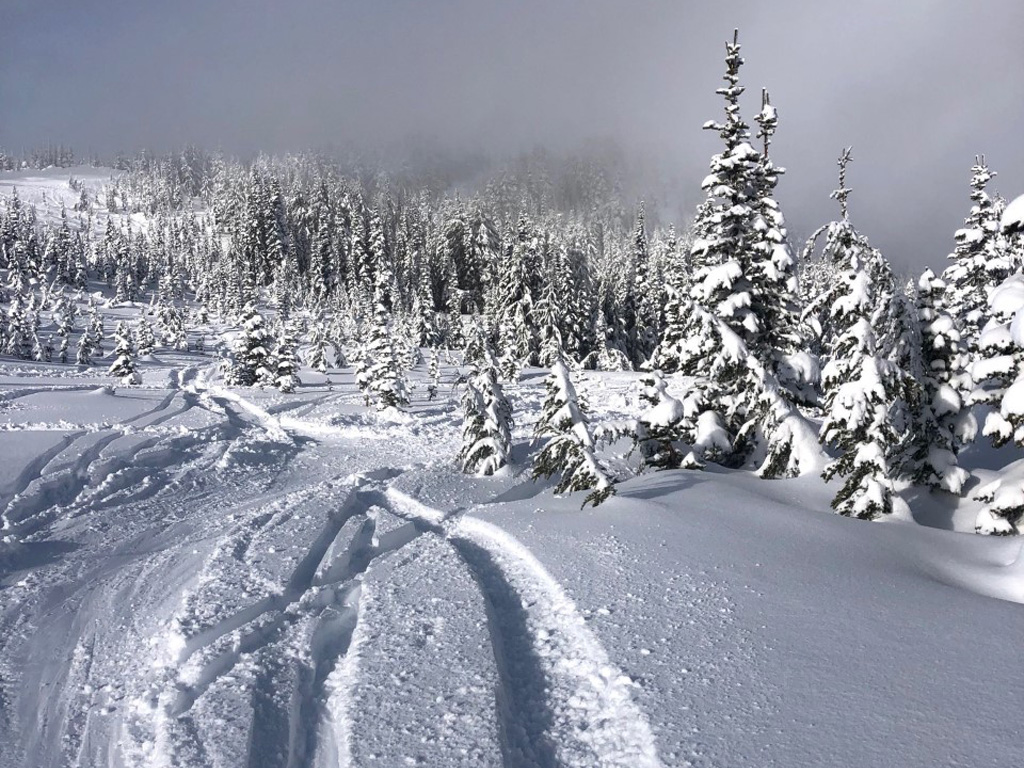 Ultimate Snow Trip | Field Van